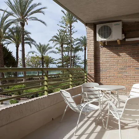 Albahia Alicante