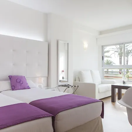 Albahia Alicante