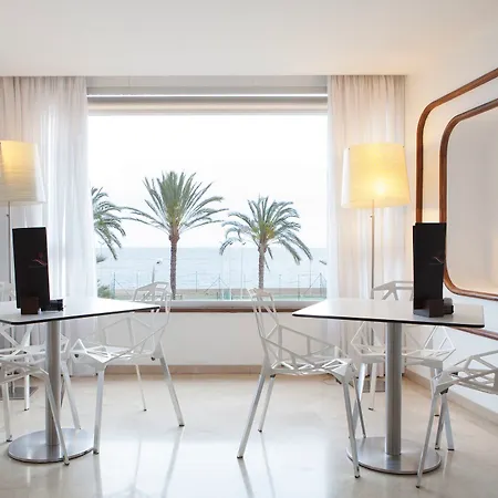 Albahia Alicante